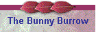 The Bunny Burrow
