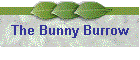 The Bunny Burrow